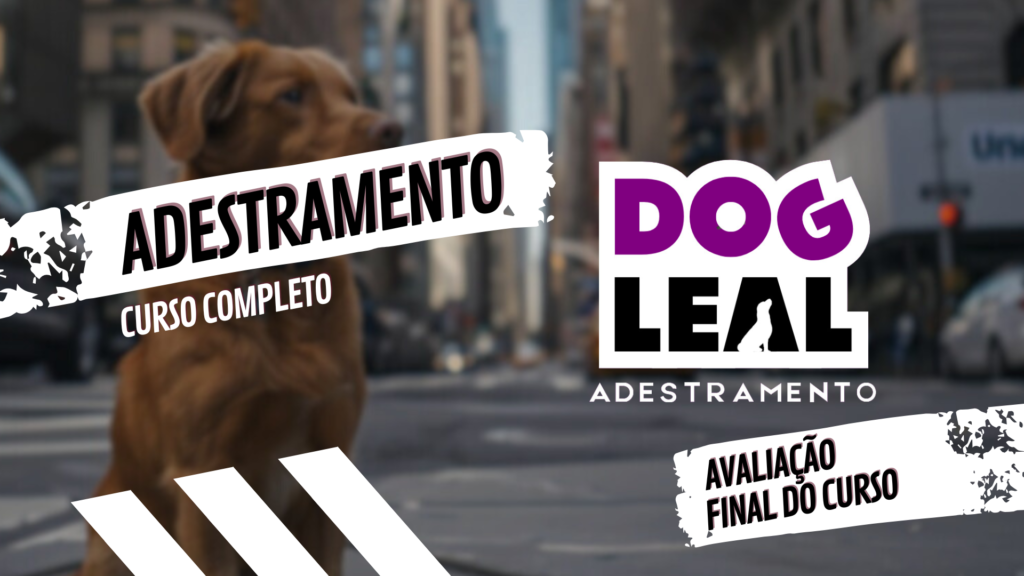 Avaliação Dog Leal – Adestramento