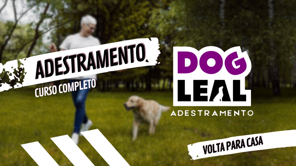 Adestramento – Adaptação de Volta para Casa