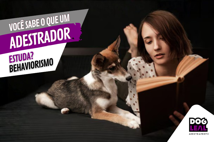 Cão e mulher lendo um livro. O que o adestrador estuda, o behaviorismo faz parte desse conteúdo.